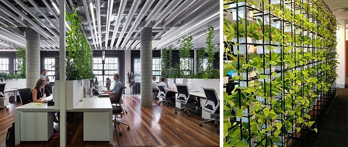 Tìm hiểu thế nào văn phòng xanh – Có vai trò thế nào trong kiến trúc hiện đại
